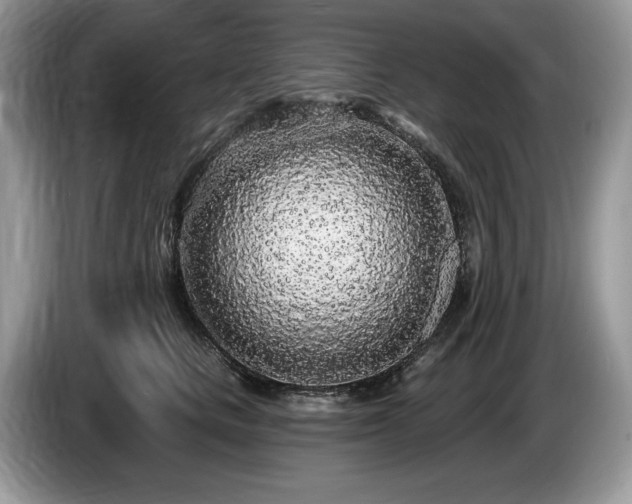X0000087570661200704271248