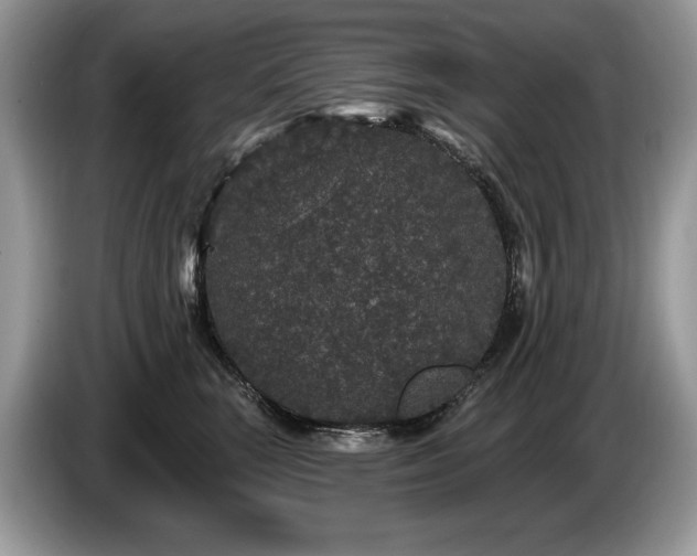 X0000087570663200704271248