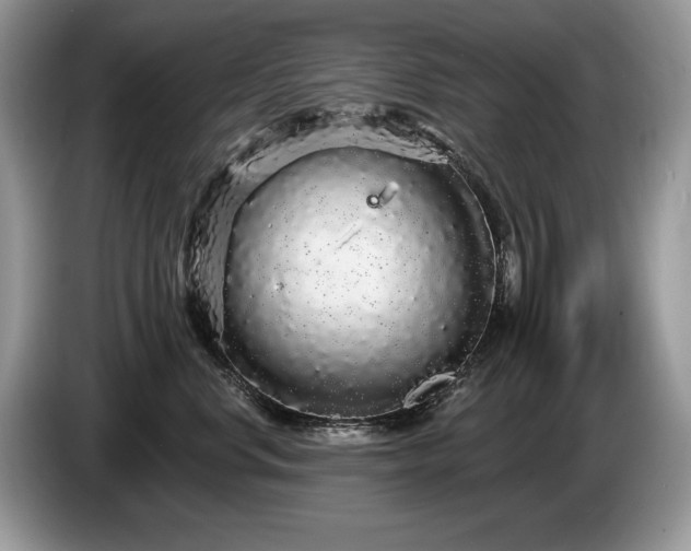 X0000087570668200704271248