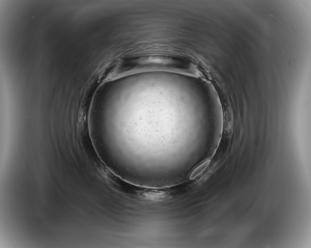 X0000087570669200704271248