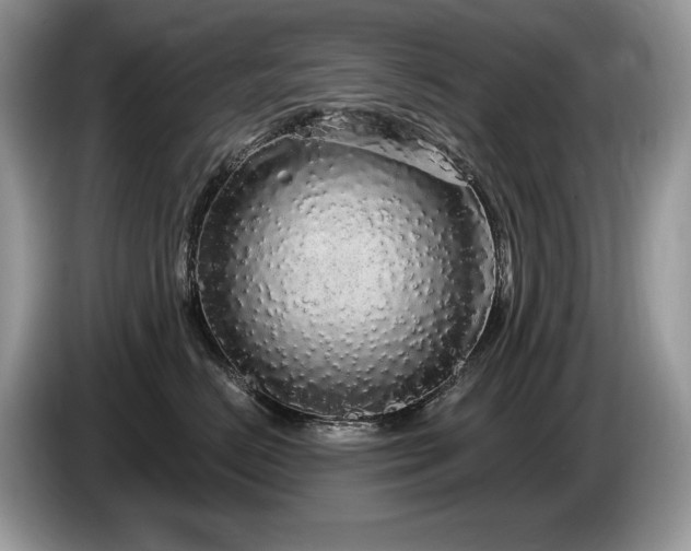 X0000087570670200704271248