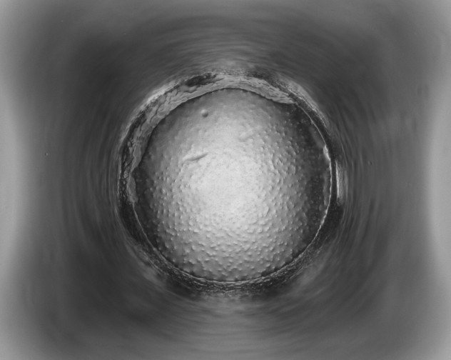 X0000087570675200704271247