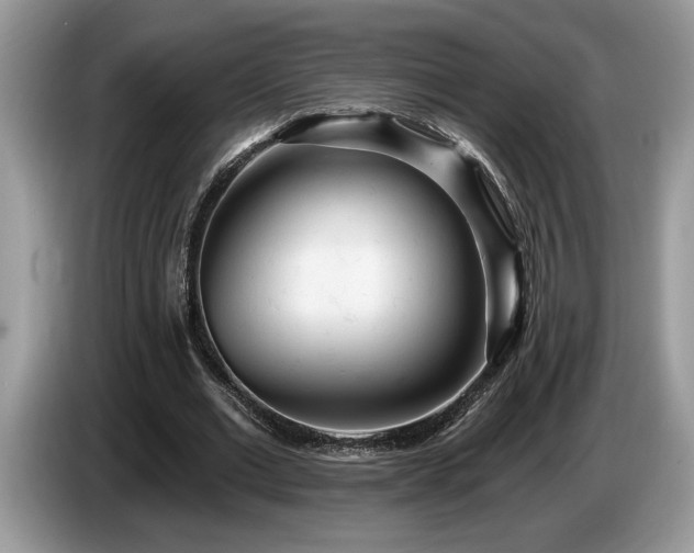 X0000087570677200704271247