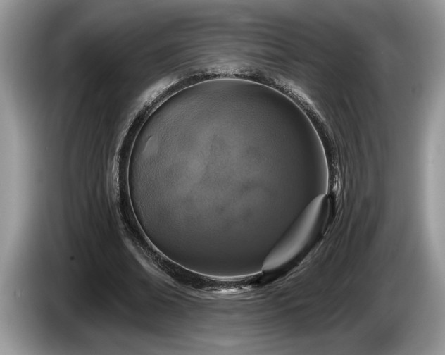 X0000087570678200704271247
