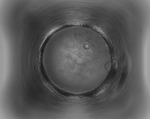 X0000087570679200704271247