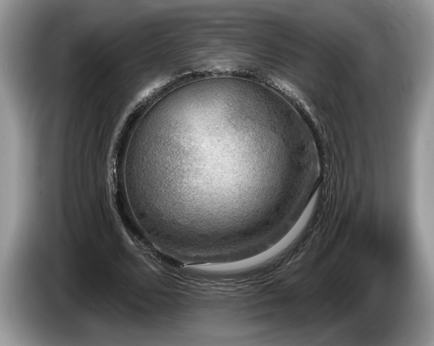 X0000087570680200704271247