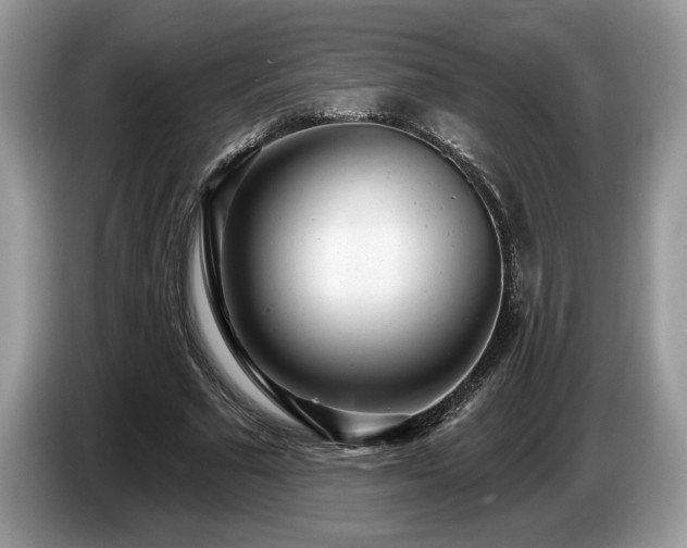 X0000087570681200704271247