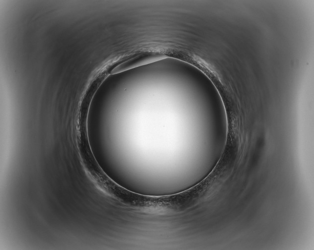 X0000087570682200704271247