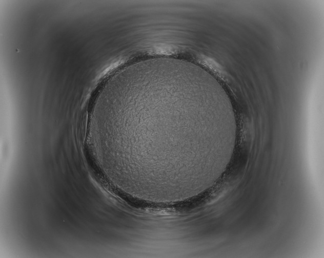 X0000087570683200704271247