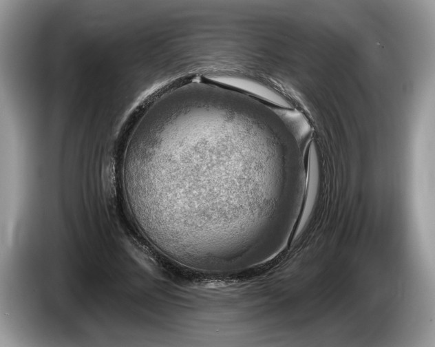 X0000087570684200704271247
