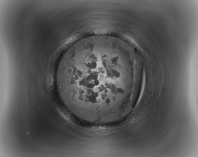 X0000087570687200704271247