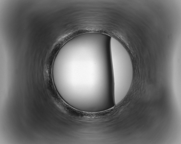 X0000087570688200704271247