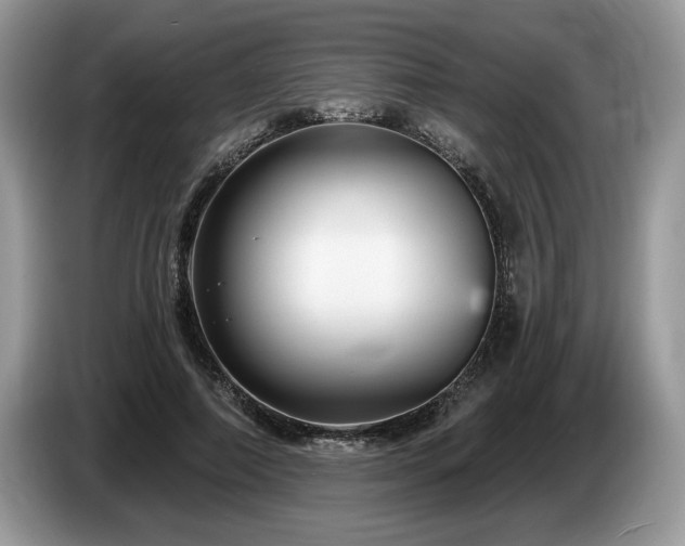 X0000087570690200704271247