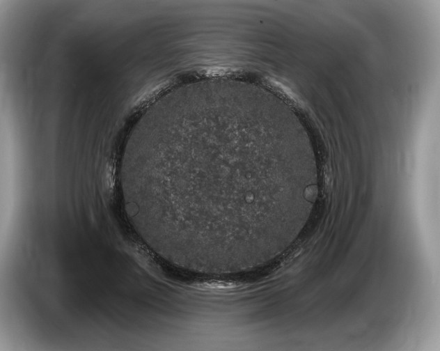 X0000087570691200704271247