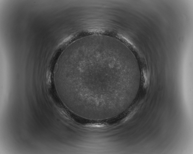 X0000087570692200704271247