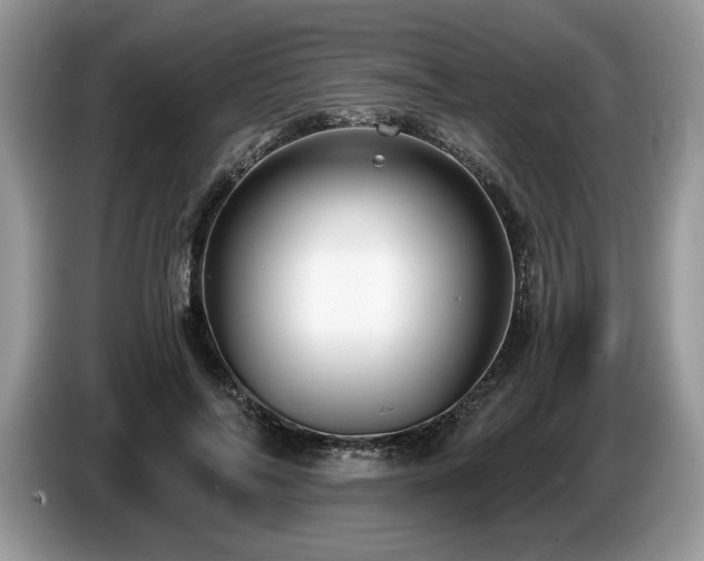 X0000087570694200704271247