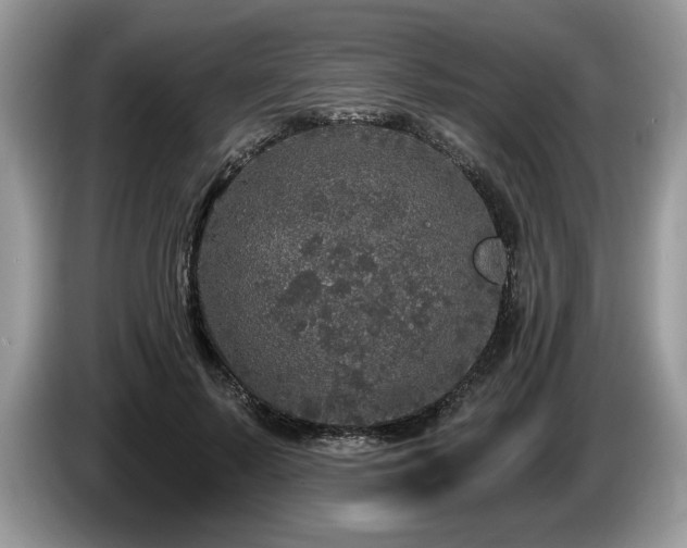 X0000087570695200704271247