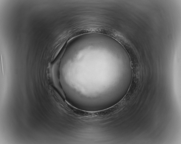 X0000087570696200704271247