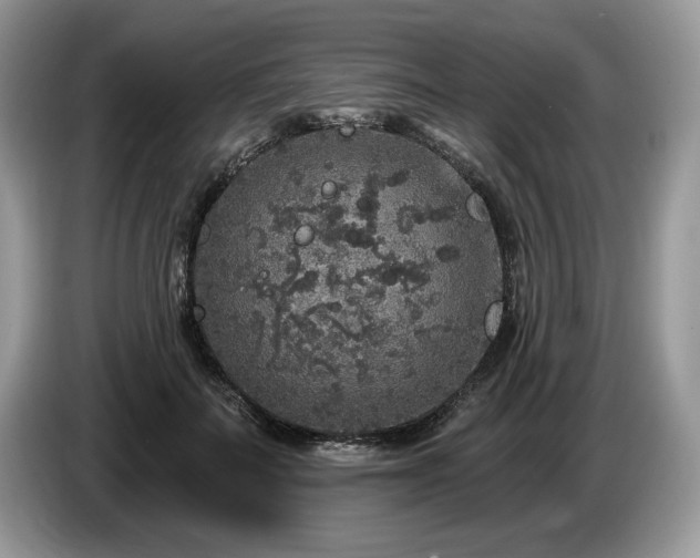 X0000087570699200704271247