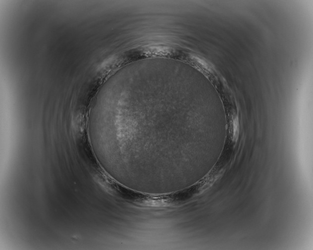 X0000087570701200704271247