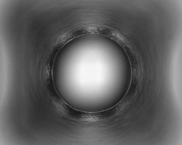 X0000087570702200704271247