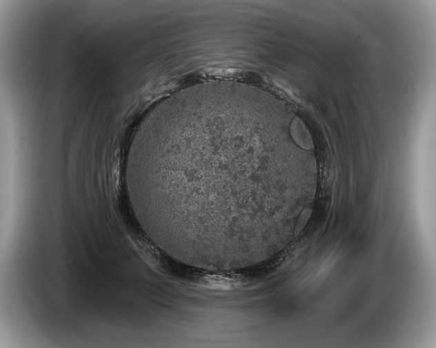 X0000087570703200704271247