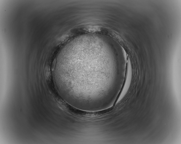 X0000087570704200704271247