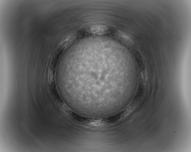 X0000087570705200704271247