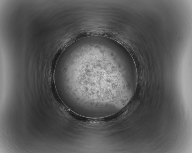 X0000087570708200704271247