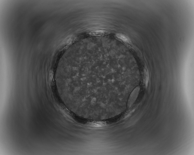 X0000087570711200704271247