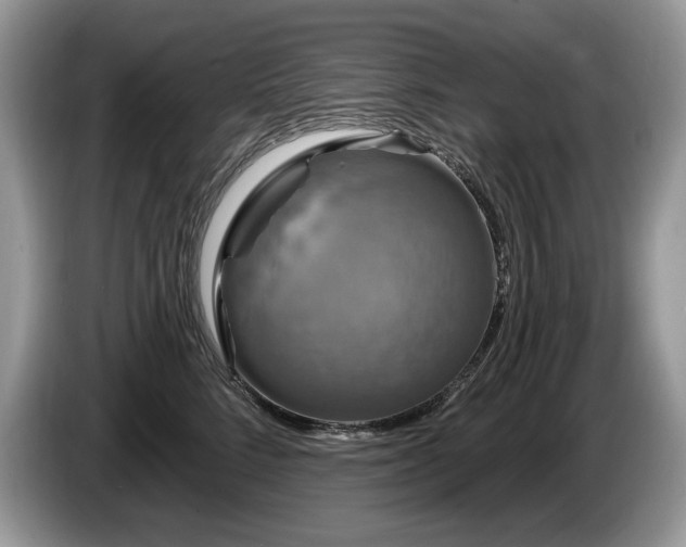 X0000087570712200704271247