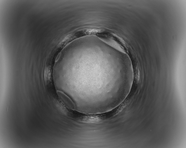 X0000087570715200704271247