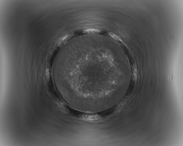 X0000087570716200704271247