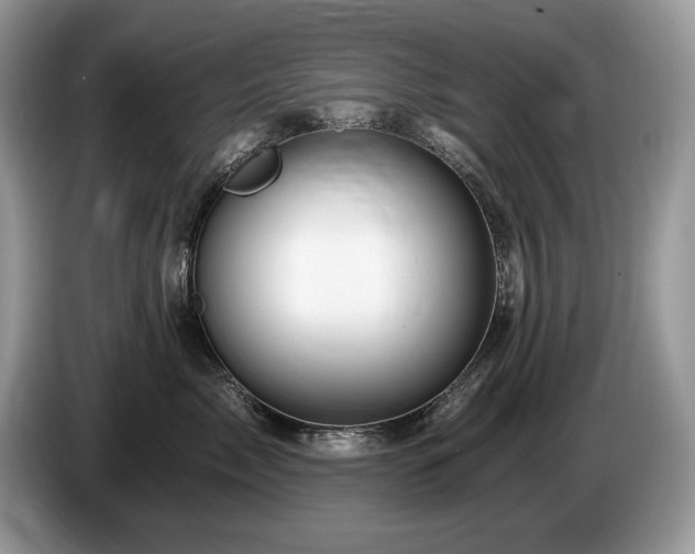 X0000087570717200704271247