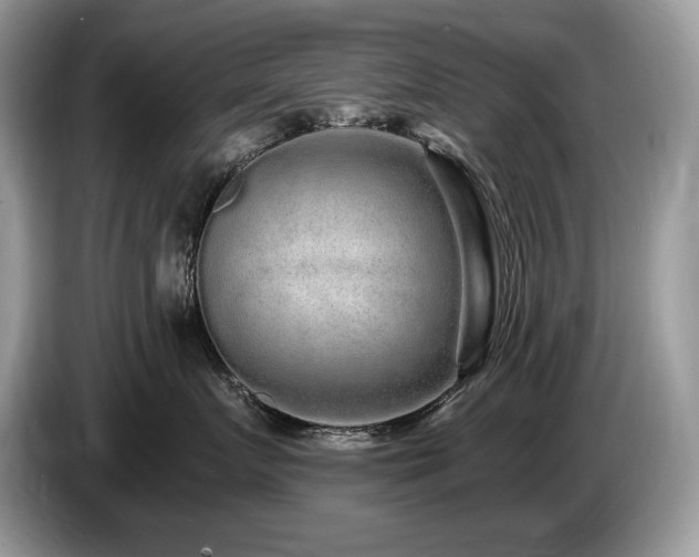 X0000087570719200704271247