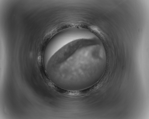 X0000087570720200704271247