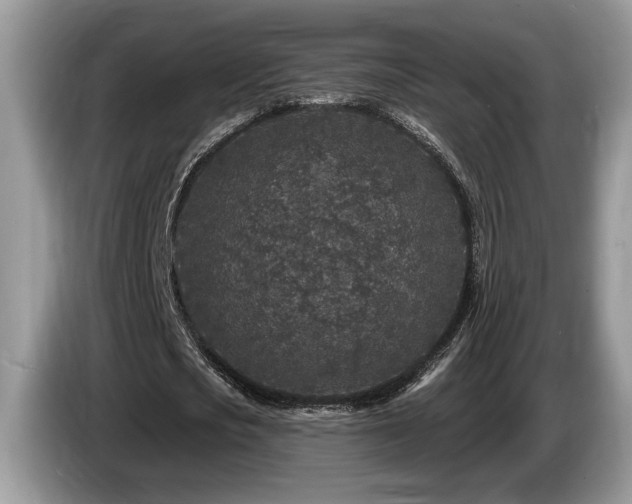 X0000087570721200704271246