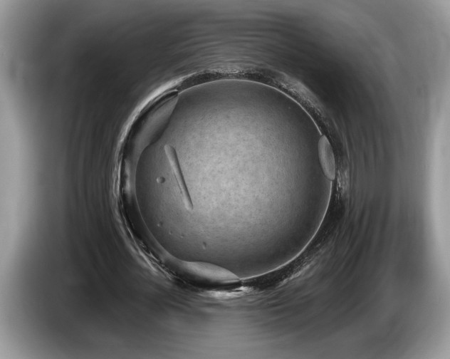 X0000087570724200704271246