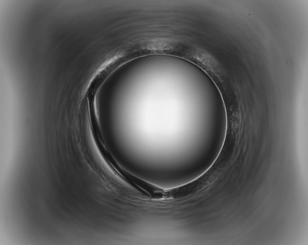 X0000087570727200704271246