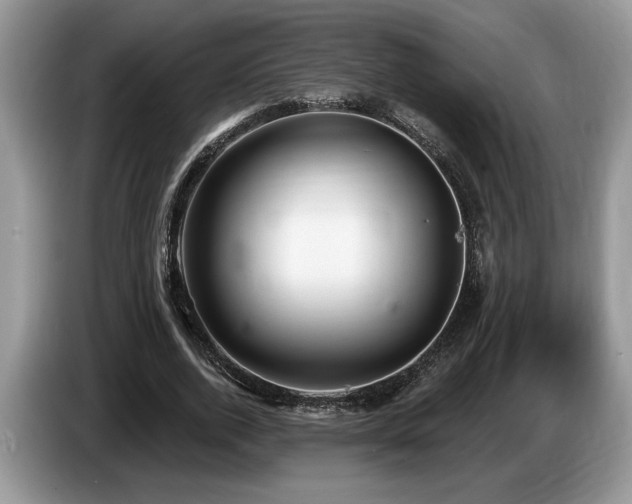 X0000087570728200704271246