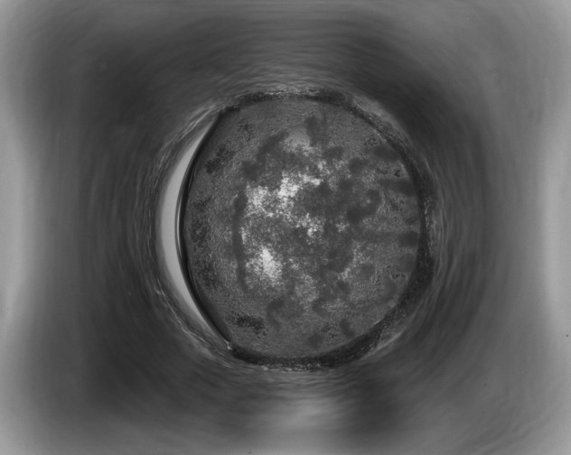 X0000087570729200704271247