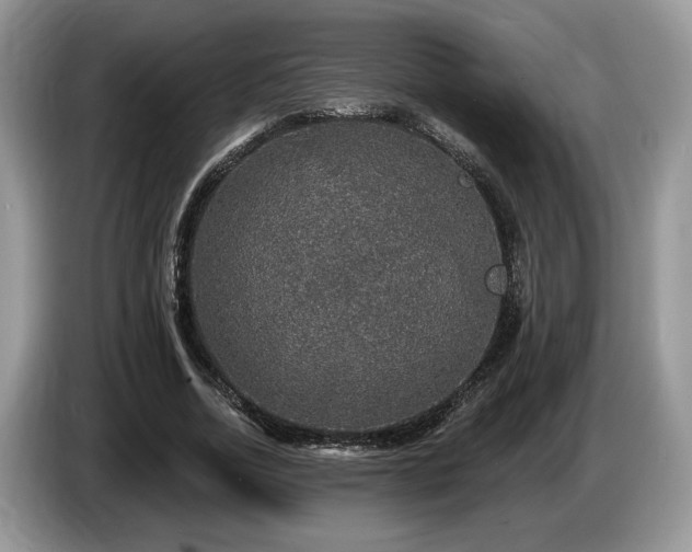 X0000087570730200704271247