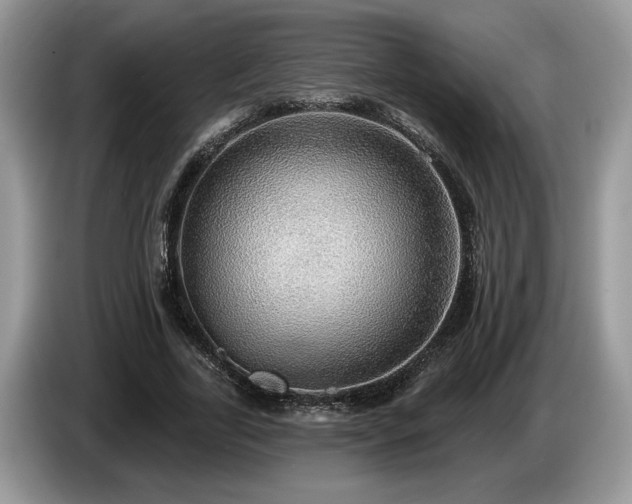 X0000087570731200704271247