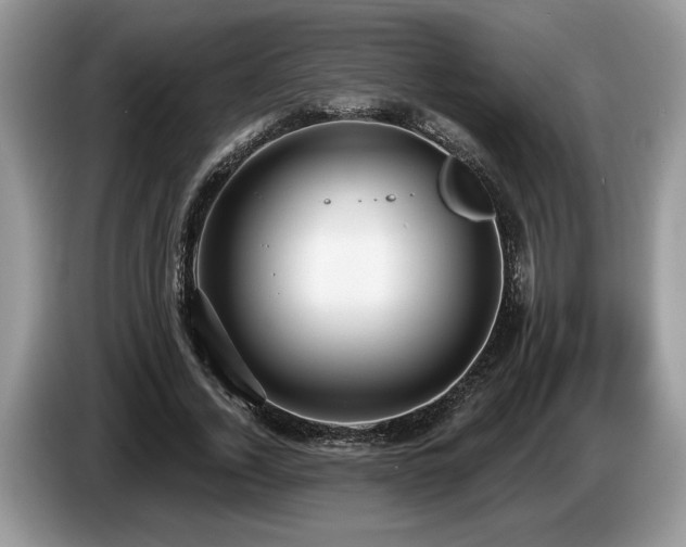 X0000087570732200704271247
