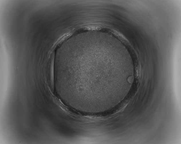 X0000087570733200704271247