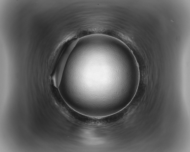 X0000087570735200704271247