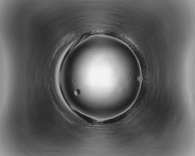 X0000087570738200704271247