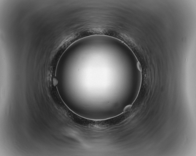 X0000087570739200704271247