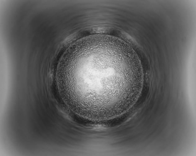 X0000087570741200704271247