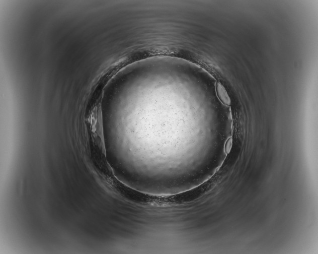 X0000087570742200704271247